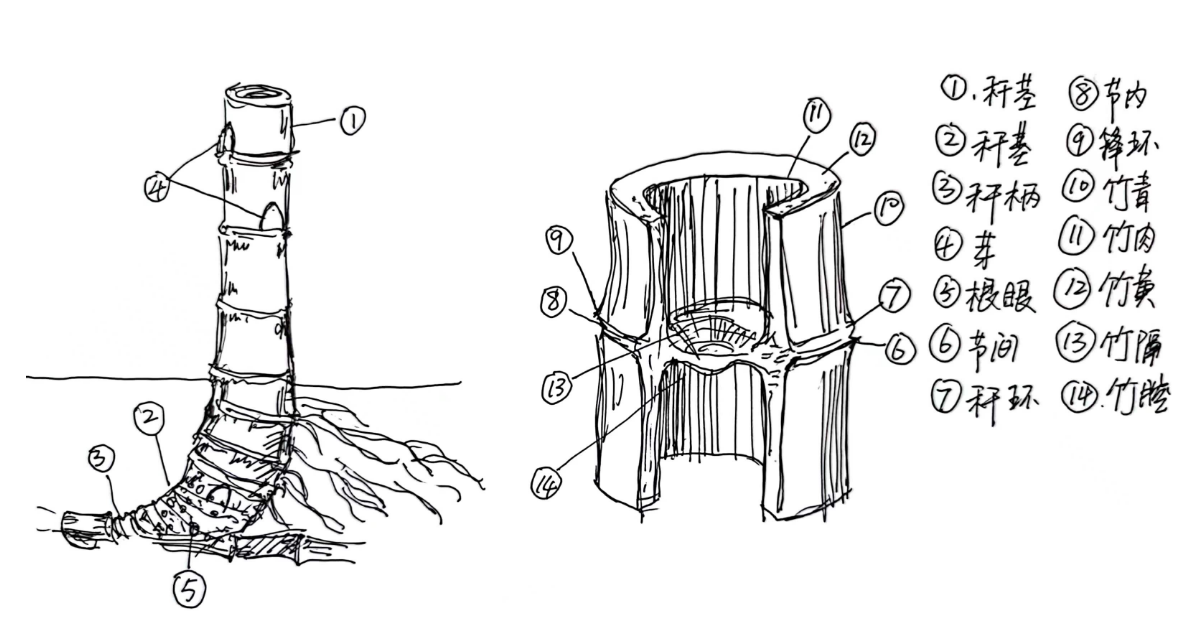 微信图片_20230117211326.png 微信图片_20230117211326.png